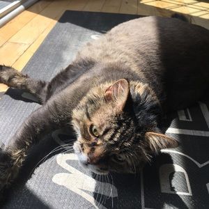 Meet your Posher, Sandra